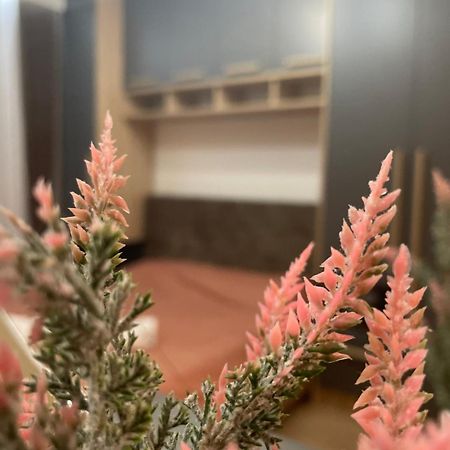 Daf Apartaments Pristina Eksteriør billede